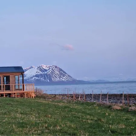 Cozy Cabin With Amazing Sauna House Holiday home Straumen (Troms)